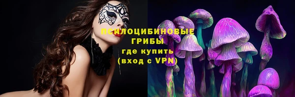 Альфа ПВП Вязьма
