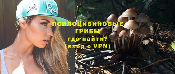 Альфа ПВП Вязьма